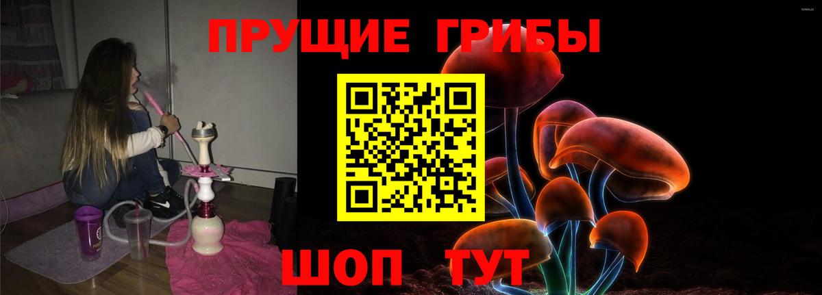 Галлюциногенные грибы Magic Shrooms  Вход с VPN  Псилоцибиновые грибы Magic Shrooms  Светлоград 